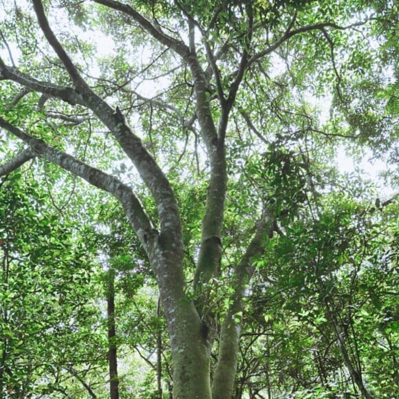 Grazi Massafera e Cauã Reymond fizeram os fãs surtarem ao compartilharem fotos em meio à natureza, dando a entender que estavam juntos