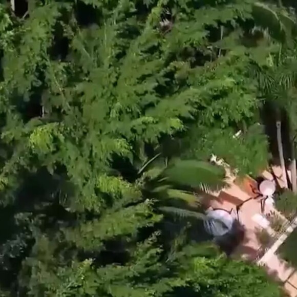 Mansão de Ana Maria Braga é repleta de árvores e muito luxo