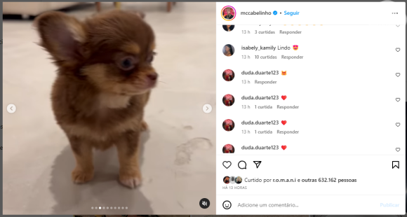 Novo cachorro de MC Cabelinho ganhou os fãs do funkeiro por usa fofura: 'Pitico'