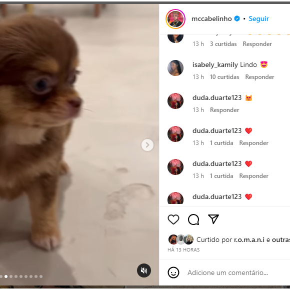 Novo cachorro de MC Cabelinho ganhou os fãs do funkeiro por usa fofura: 'Pitico'