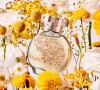 Floratta Gold Desodorante Colônia é uma fragrância feminina sucesso no Boticário