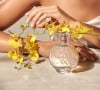 Perfume do Boticário, Floratta Gold tem cheirinho de importado e é idêntico a dois importados mais caros
