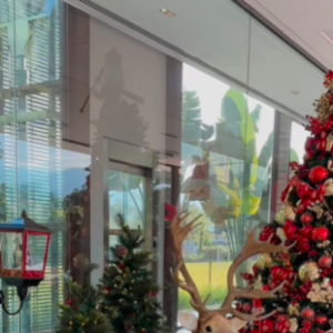 Decoração de luxo para Natal de Neymar tem até renas em tamanho real