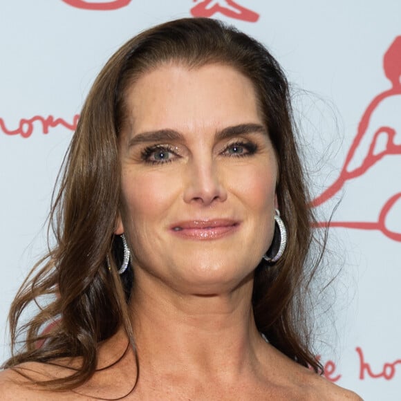 Brooke Shields também foi apontada como alguém semelhante a Ana Paula Arósio, afastada da TV Globo há 14 anos