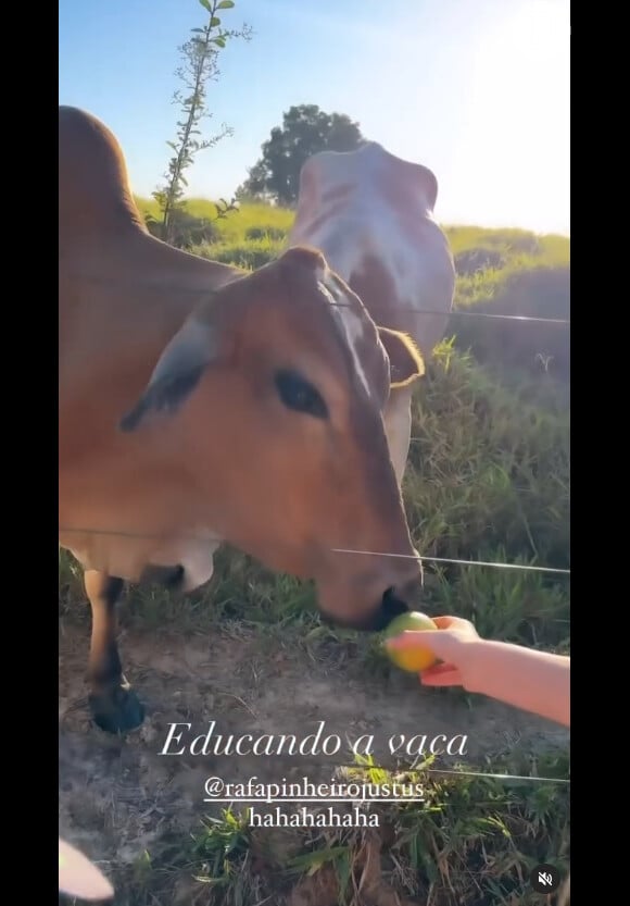 Foto: Rafaella Justus foi flagrada pela madrasta, Ana Paula Siebert, ao tentar alimentar uma vaca - Purepeople