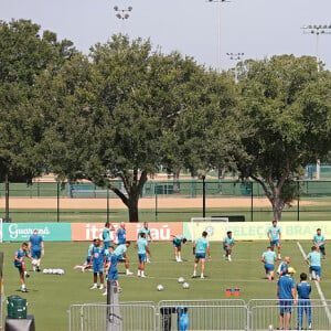 Por causa de Brasil x EUA, na quarta-feira 12 de junho de 2024 às 20h, a Globo só mostra a rodada do Campeonato Brasileiro 2024 na quinta-feira 13 de junho de 2024