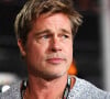 Brad Pitt é um dos maiores e mais requisitados astros de Hollywood, inclusive um ícone de beleza nos últimos tempos