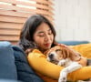 Sonhar com cachorro: entenda o real significado das diferentes variações deste sonho