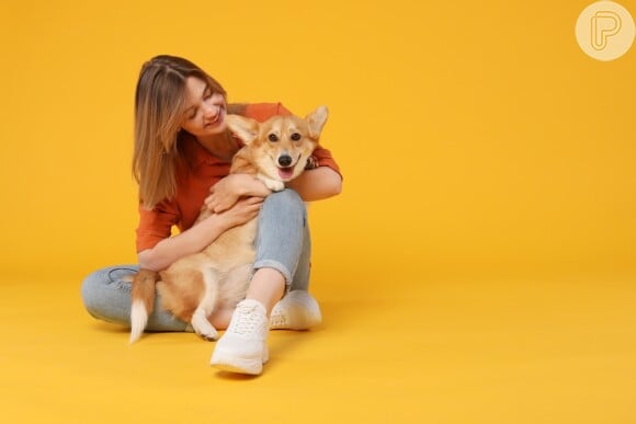 Sonhar com cachorro pequeno geralmente simbolizam vulnerabilidade e proteção