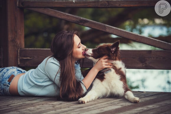 Sonhar com cachorro: entenda o real significado das diferentes variações deste sonho