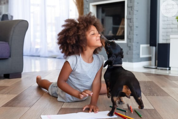 Sonhar com um cachorro geralmente simboliza lealdade, proteção e amizade