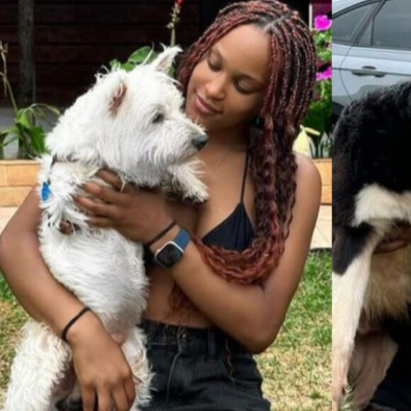 Medalista e mãe de pet! Conheça Snow e Aslan, cachorros de Rebeca Andrade que 'vão querer comer' prata e bronze da ginasta