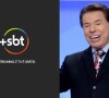 SBT lança plataforma de streaming com 24h de Silvio Santos, após morte do apresentador