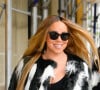 Mariah Carey é notoriamente conhecida pela extensão vocal, pelos figurinos extravagantes e por grandes hits, como 'Hero' e 'All I Want for Christmas Is You'