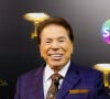 Silvio Santos, na época, havia decidido centralizar todas as decisões sobre a emissora e estava à procura de um vice-presidente para responder diretamente a ele