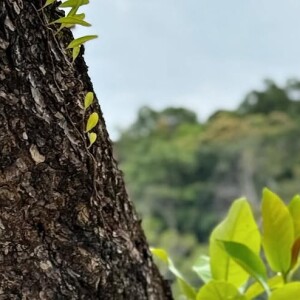 Larissa Manoela valorizou seu corpo definido com um biquíni lilás cortininha e bastante cavado