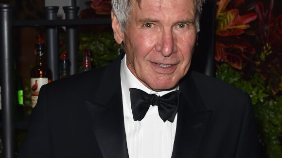 Harrison Ford é submetido a duas cirurgias após acidente de avião na Califórnia