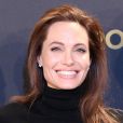  Angelina Jolie retirou os seios, as trompas e os ov&aacute;rios para evitar c&acirc;ncer 