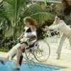 Em 'Por Amor' (1997), Maria Eduarda (Gabriela Duarte) teve um surto após as provocações de Laura (Viviane Pasmanter) e a empurrou de cadeira de rodas na piscina