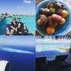 Preta Gil mostrou os primeiros detalhes de sua chegada nas Ilhas Maldivas, como frutas locais, a paisagem vista ainda do avião e partes do hotel de luxo onde ela e Rodrigo Godoy vão ficar hospedados