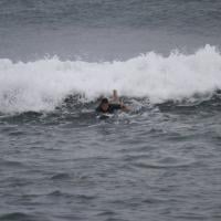 Vladimir Brichta surfa com o filho de Adriana Esteves em praia carioca