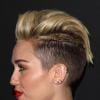 Miley Cyrus posa para fotos e mostra o penteado exótico