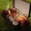 Rihanna aparece nua no clipe, coberta de sangue e dólares