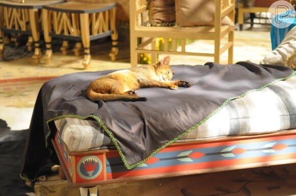 Por conta da quinta praga do Egito, gata Mekal morre e deixa Taís (Babi Xavier) inconsolável, na novela 'Os Dez Mandamentos'