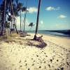 Giovanna Ewbank posou toda reflexiva na Praia dos Cerneiros, em Pernambuco, e compartilhou a foto no Instagram na manhã desta quinta-feira (10)