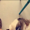 Bruna Marquezine leva cachorro para brincar com sobrinha de Fernanda Souza, neste domingo, 20 de dezembro de 2015