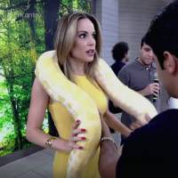 Ana Furtado apresenta o 'Encontro' com cobra no pescoço: 'Gostou dos meus seios'
