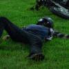 Em 'Haja Coração', os bandidos percebem Giovanni (Jayme Matarazzo) chegando e derrubam sua moto. O jovem desmaia na hora