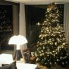 Gerard Piqué, marido de Shakira, publica no Twitter foto da árvore de Natal do casal