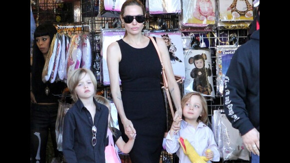 Casa de Jolie e Brad Pitt é cercada pela polícia após 'engano' dos filhos