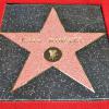 Kate Winslet recebe estrela na Calçada da Fama de Hollywood aos 38 anos