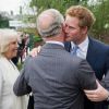 Harry mantém com o irmão, William e a duquesa de Cambridge,  Kate Middleton, a Fundação Real, que se dedica a projetos solidários