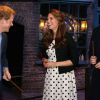 Harry mantém com o irmão, William e a duquesa de Cambridge,  Kate Middleton, a Fundação Real, que se dedica a projetos solidários