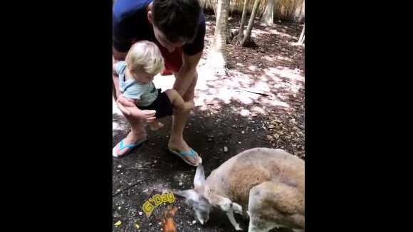Karina Bacchi mostrou o filho, Enrico, alimentando animais com o noivo, Amaury Nunes, no Jungle Islands, em Miami