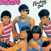 Em 1984, Ricky Melendez, Charlie Mossó, Ray Reyes Leon, Roy Rosello e Robby Rosa eram os integrantes da boys band, que virou febre entre as adolescentes brasileiras 