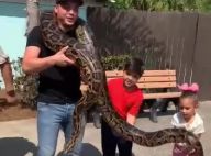 Aventureiros! Safadão e os filhos Yhudy e Ysis seguram cobra em zoo nos EUA