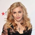 'Nunca conheci uma garota como Anitta', garantiu Madonna