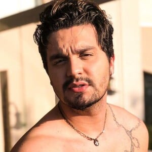 Luan Santana posou sem camisa e chamou atenção na rede social