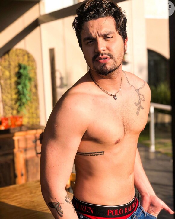 Luan Santana posou sem camisa e chamou atenção na rede social