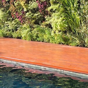 Bruna Marquezine mostrou momentos ao lado de Amora