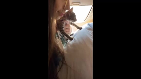 Vídeo: Whindersson Nunes filma Maria Lina com gata