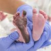 Sthefany Brito deu à luz por meio de um parto cesariana
