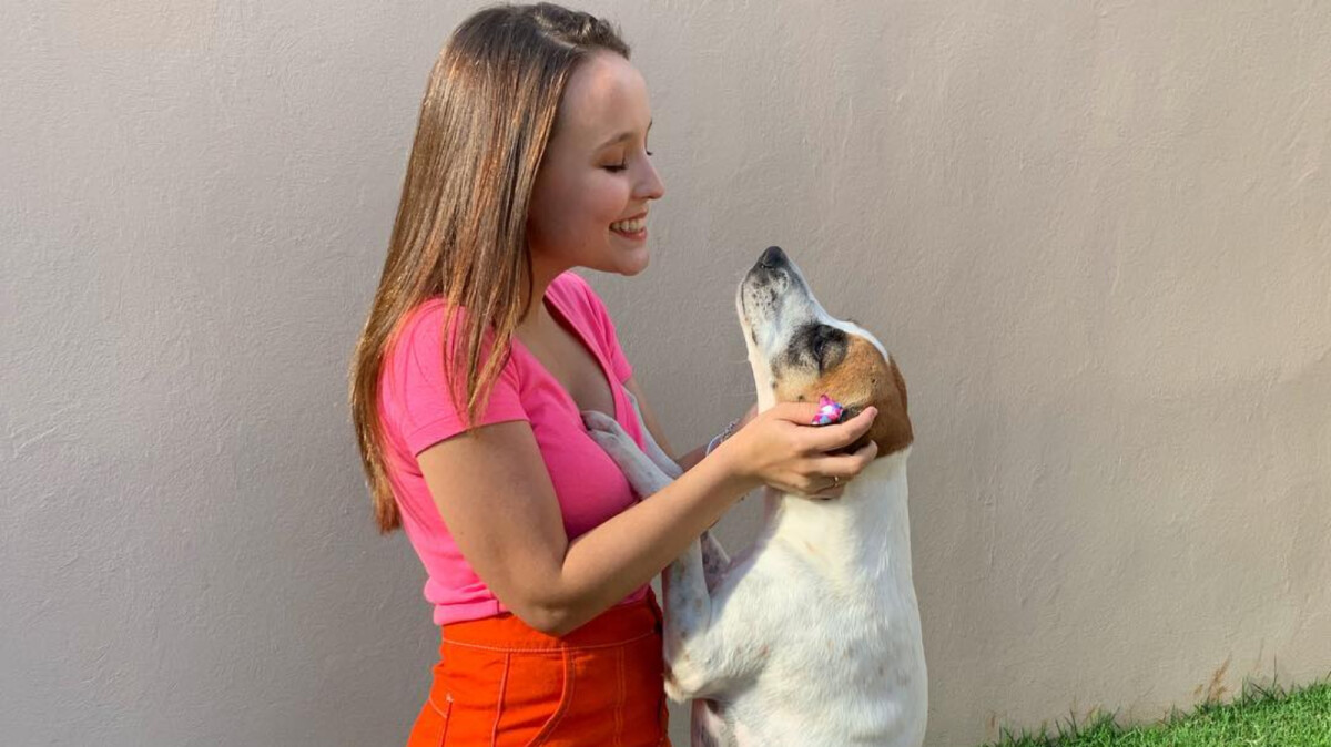 Larissa Manoela reage à polêmica sobre pet vira-lata: Nunca fiz  distinção. Vídeo! - Purepeople