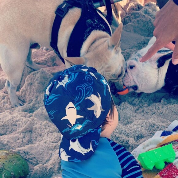 Filho de Sthefany Brito curtiu dia de sol ao lado dos cachorros de estimação