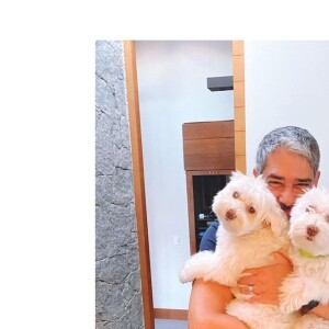 William Bonner em clique fofo ao lado dos cachorros. Foto foi publicada pela esposa Natasha Dantas