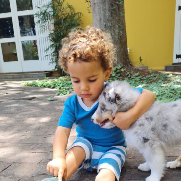 Biah Rodrigues explicou que o filho, Theo, foi quem batizou o novo integrante da família: 'Tatu' foi o nome escolhido para o cãozinho